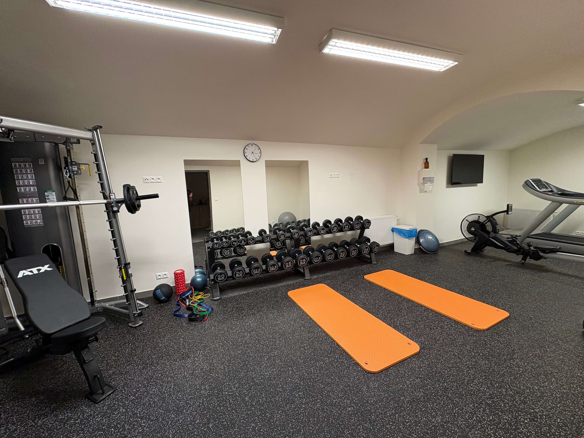 Vybavení posilovny Pražačka Private Gym — fotka 4
